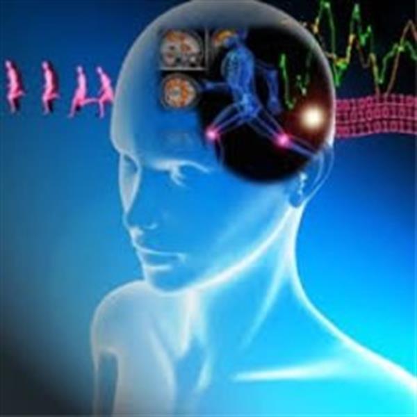 برگزاری کارگاه های آموزشی مجازی