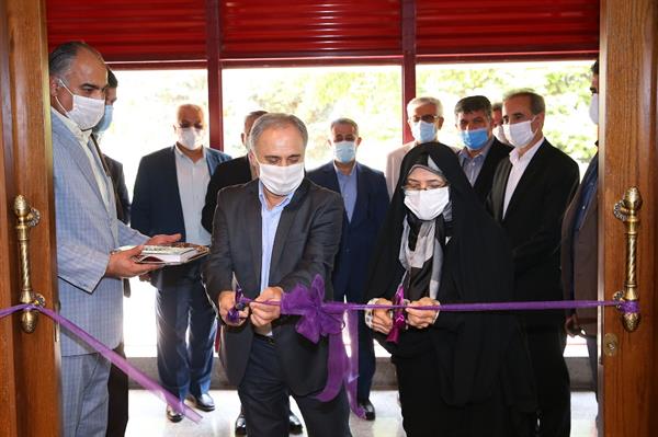 سالن شماره 2 اجتماعات استاد فارسی آکادمی ملی المپیک افتتاح شد