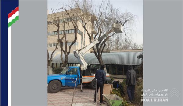 هرس‌کاری درختان محوطه آکادمی (14 اسفند 1403)