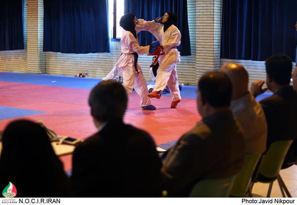 کاراته بازدید