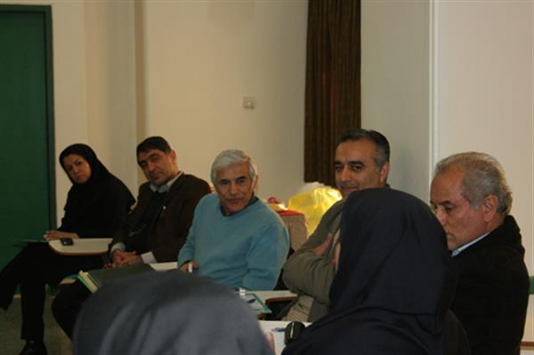 سولیداریتی