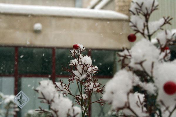 آکادمی در زمستان، 1386 5