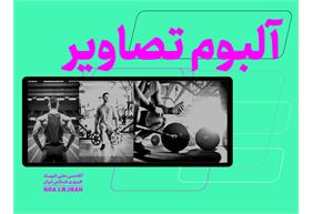 آلبوم تصاویر