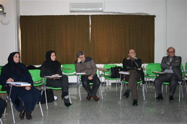 سولیداریتی