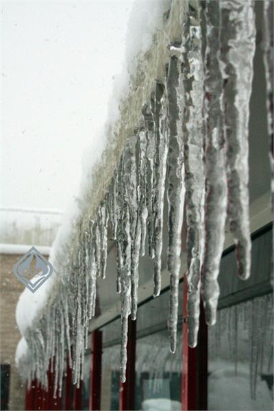 آکادمی در زمستان، 1386 6