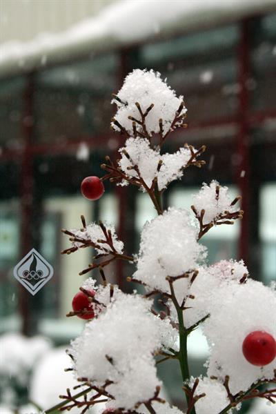 آکادمی در زمستان، 1386 4