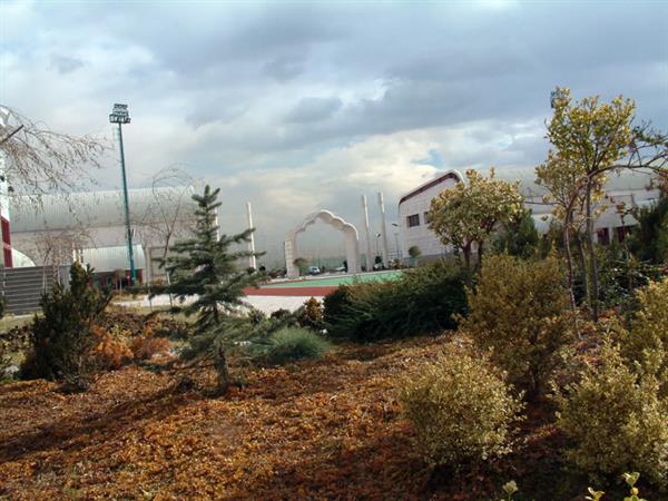 Academy Complex on a view-1 3