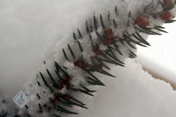 آکادمی در زمستان، 1386 20