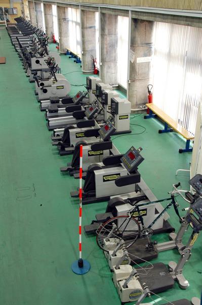 Physical Fitness Assessment and Improvement Center  31