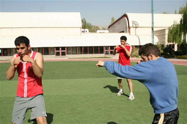 تیم ملی بوکس