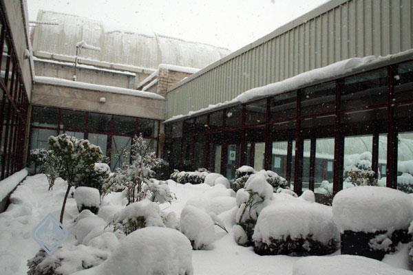 آکادمی در زمستان، 1386 3