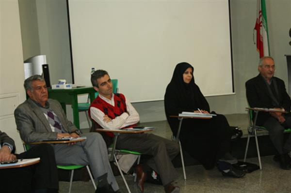 سولیداریتی