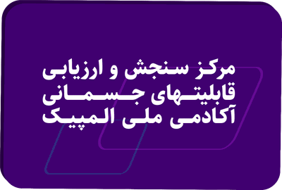 رسانه جدید