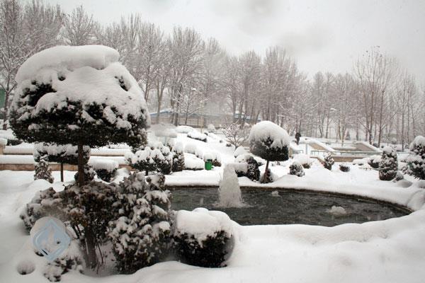 آکادمی در زمستان، 1386 18