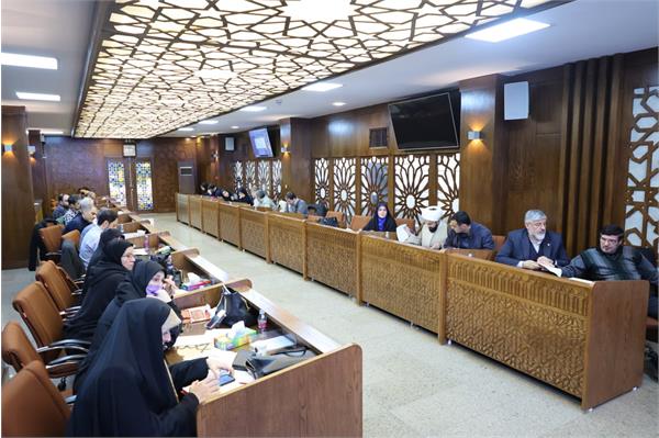 جلسه بررسی سند تحول برنامه های کمیته ملی پارالمپیک (16 بهمن 1403) 12