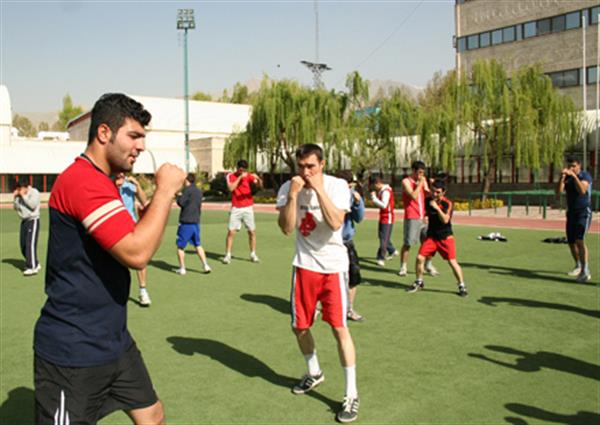 تیم ملی بوکس