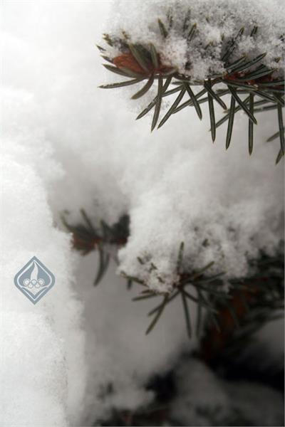 آکادمی در زمستان، 1386 21