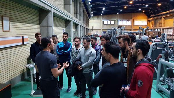 بازدید سماء6